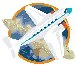 airplane.gif