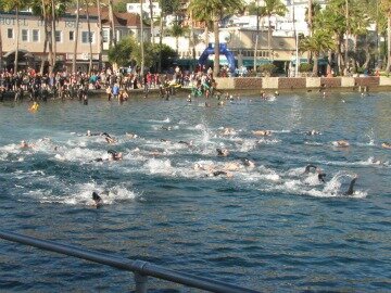triathalon-swimmers.jpg